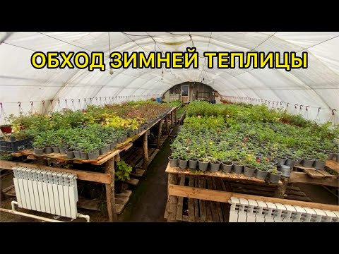 Что сегодня растет? Декабрь 2023. Обход.