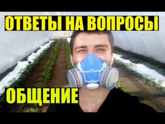 Вирус, кризис и мой тепличный бизнес.